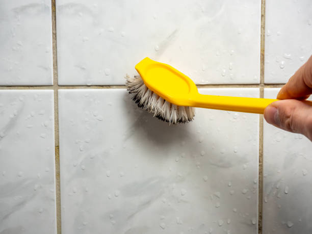 Best Same-Day Mold Removal  in Spirit Lake, ID