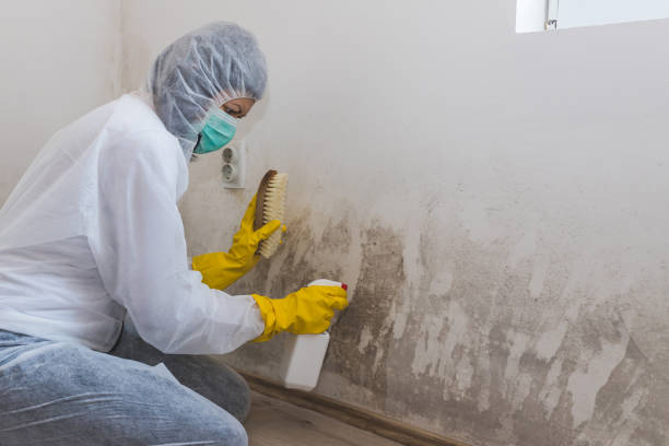 Best Emergency Mold Removal  in Spirit Lake, ID