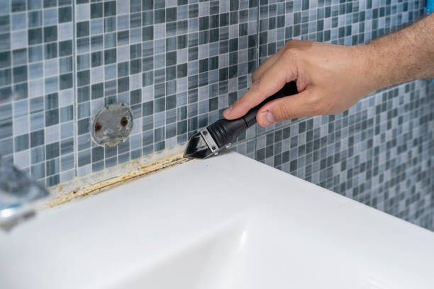 Best Attic Mold Removal  in Spirit Lake, ID