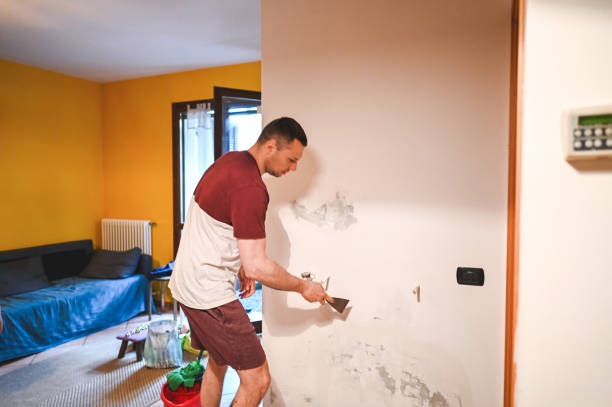 Attic Mold Removal in Spirit Lake, ID