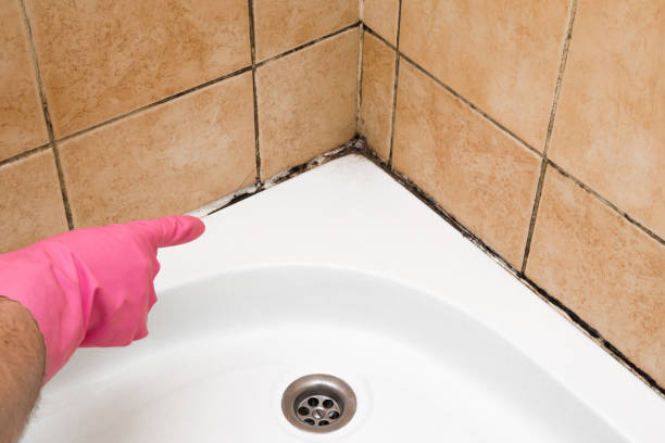 Home Mold Removal in Spirit Lake, ID